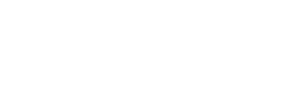 North C logo